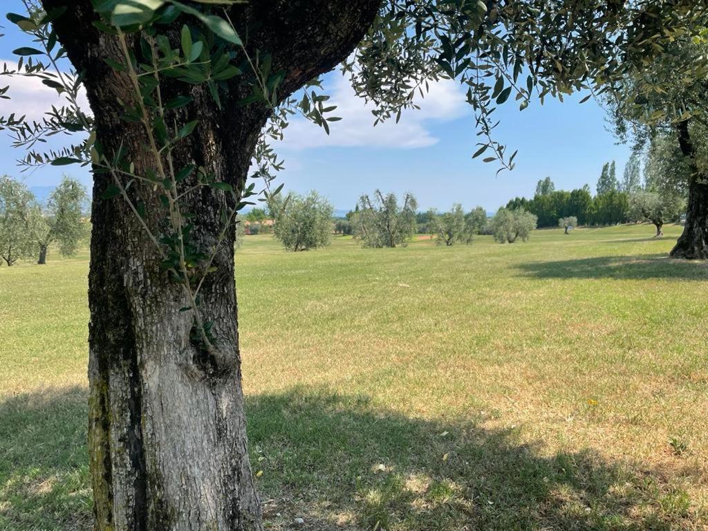 Garda Golf Country Chic Home Soiano Del Lago Exterior foto